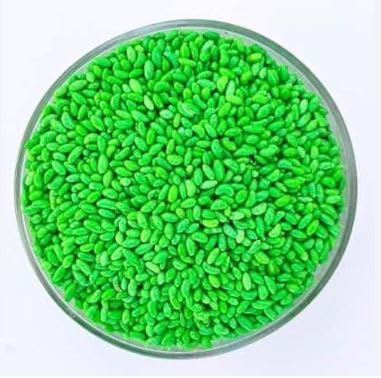 Dikshika Dry Fruits Sweet Green Saunf 600 gm | Madrasi Saunf Mouth Freshener | Helps In Digestion After Meal | Sugar Coated Saunf