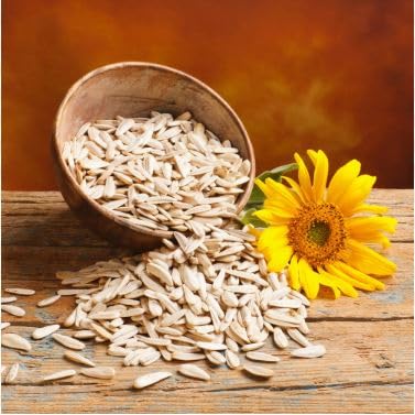 Dikshika Dry Fruits Raw sunflower seeds 250 gm - Raw Sunflower Seeds for Eating | Diet Food | Healthy Snack | suryaful seeds | Weight management | Source of Antioxidants | Fibre rich superfood
