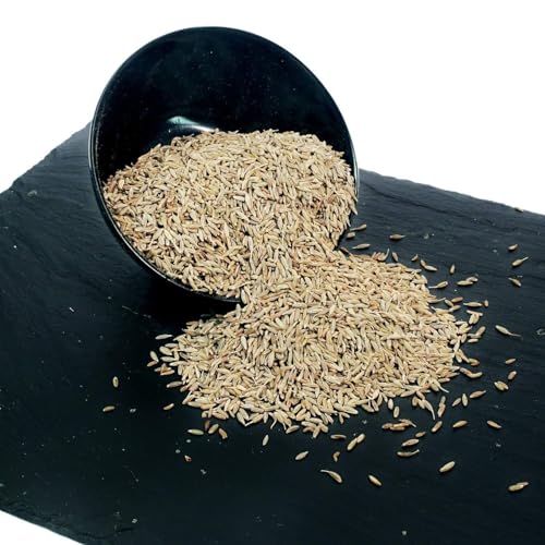 Dikshika Dry Fruits Whole Cumin Seeds 250 gm | Natural & Fresh Jeera - Hygienically Packed, Rich Aroma & Flavor - Nutrient-Rich Spice for Indian Cooking | No added Colours Sabut Jeera