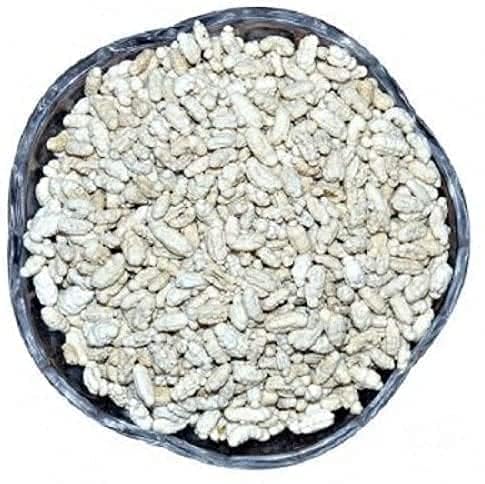 Dikshika Dry Fruits White Mukhwas 300 gm | Peppermint Coated Saunf Mouth Freshner | Madrasi Saunf Helps In Digestion After Meal